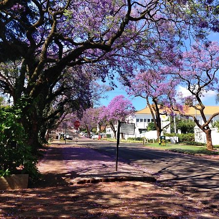 Waterhouse Guest Lodge In Muckleneuk Pretoria-Noord Extérieur photo