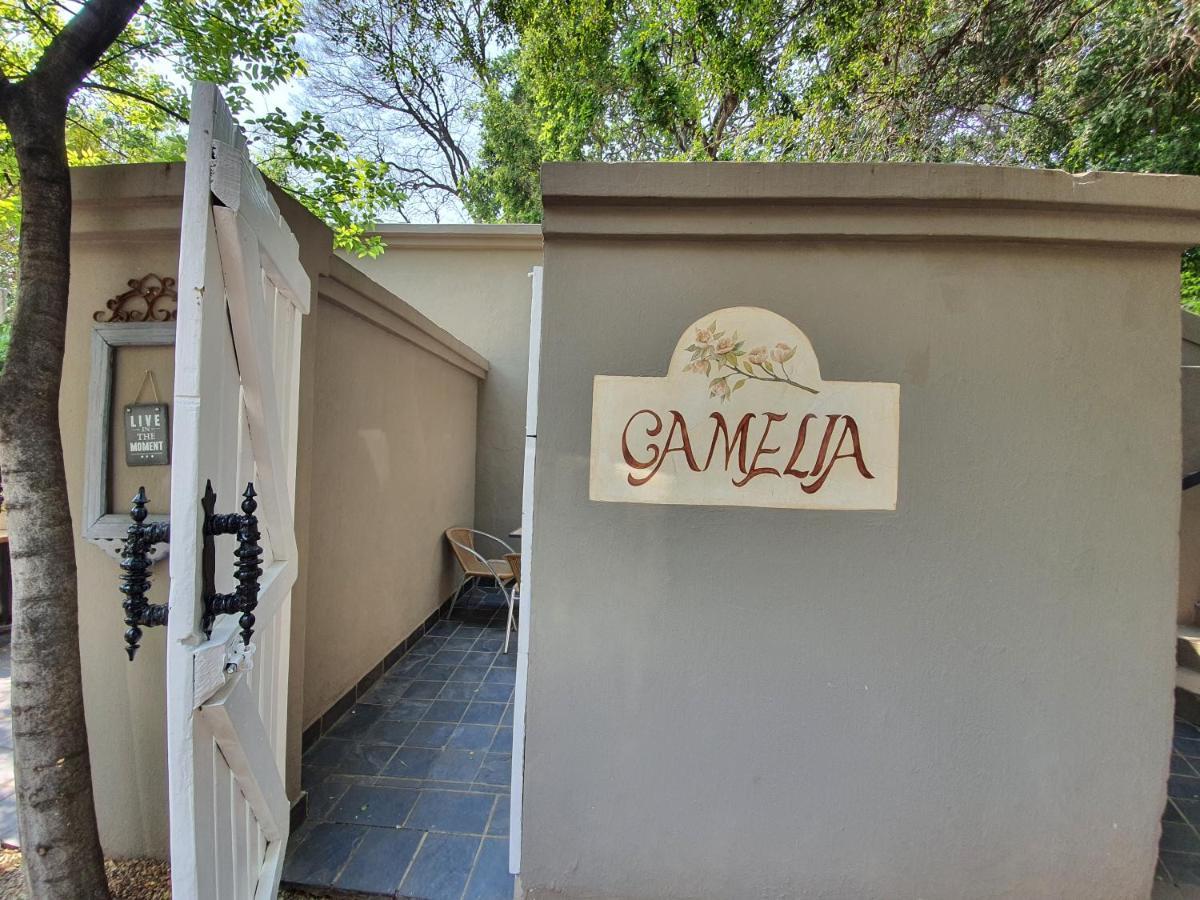Waterhouse Guest Lodge In Muckleneuk Pretoria-Noord Chambre photo